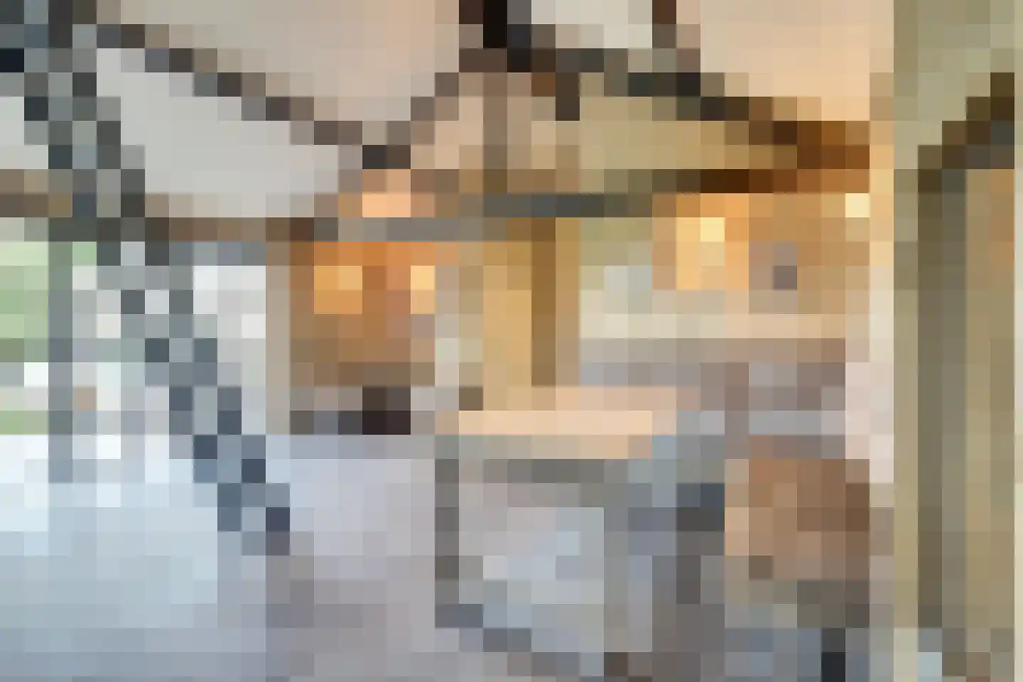 Hondsdijk 5 Escharen thumbnail 65