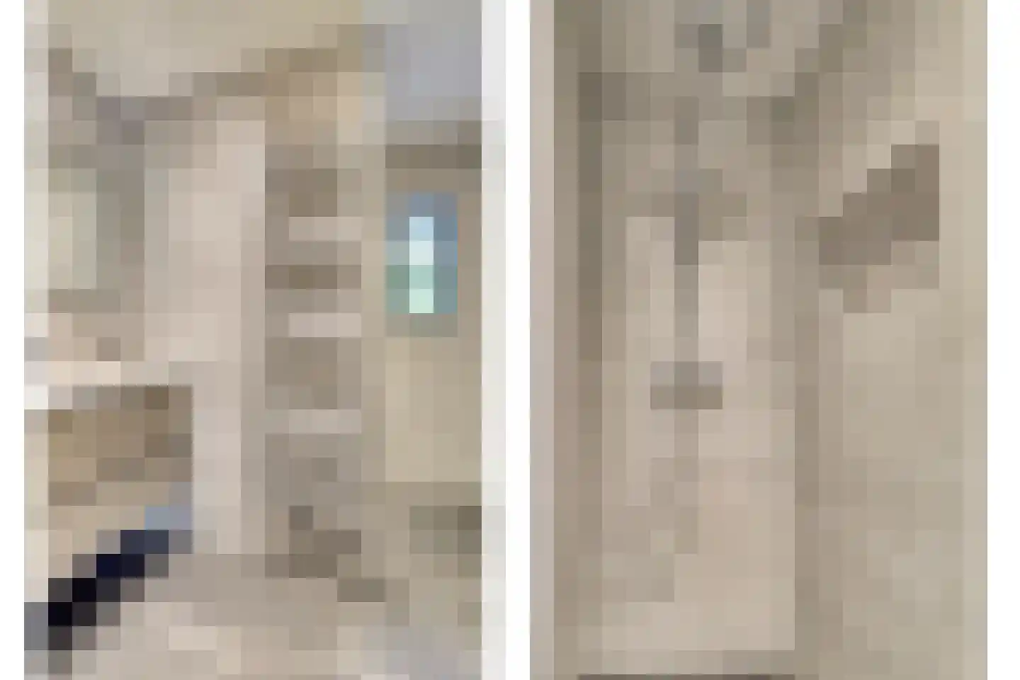 Hondsdijk 5 Escharen thumbnail 66
