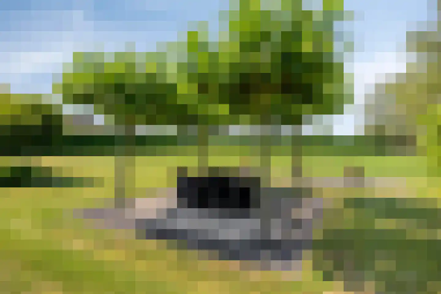 Hondsdijk 5 Escharen thumbnail 70
