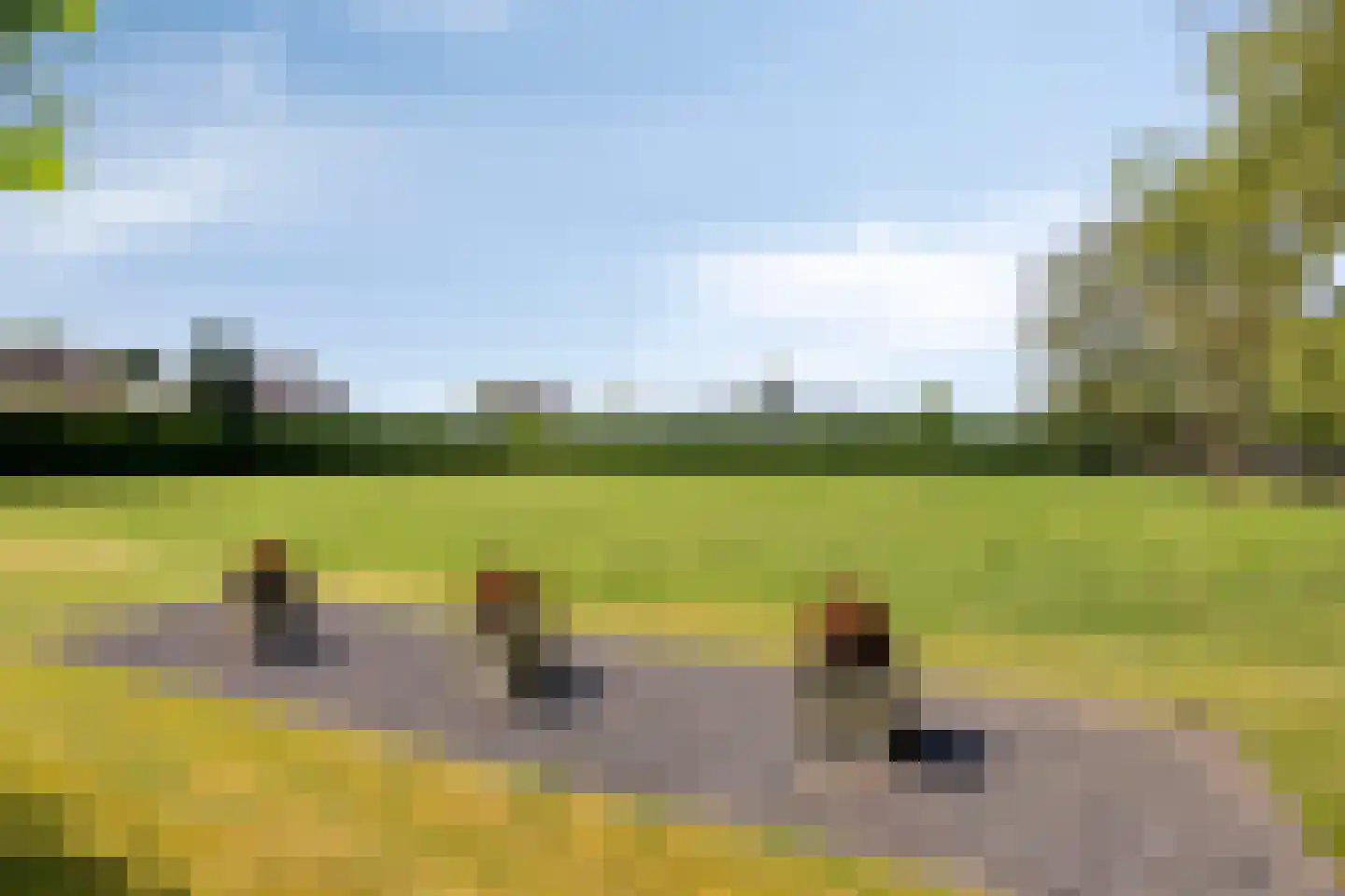 Hondsdijk 5 Escharen thumbnail 71