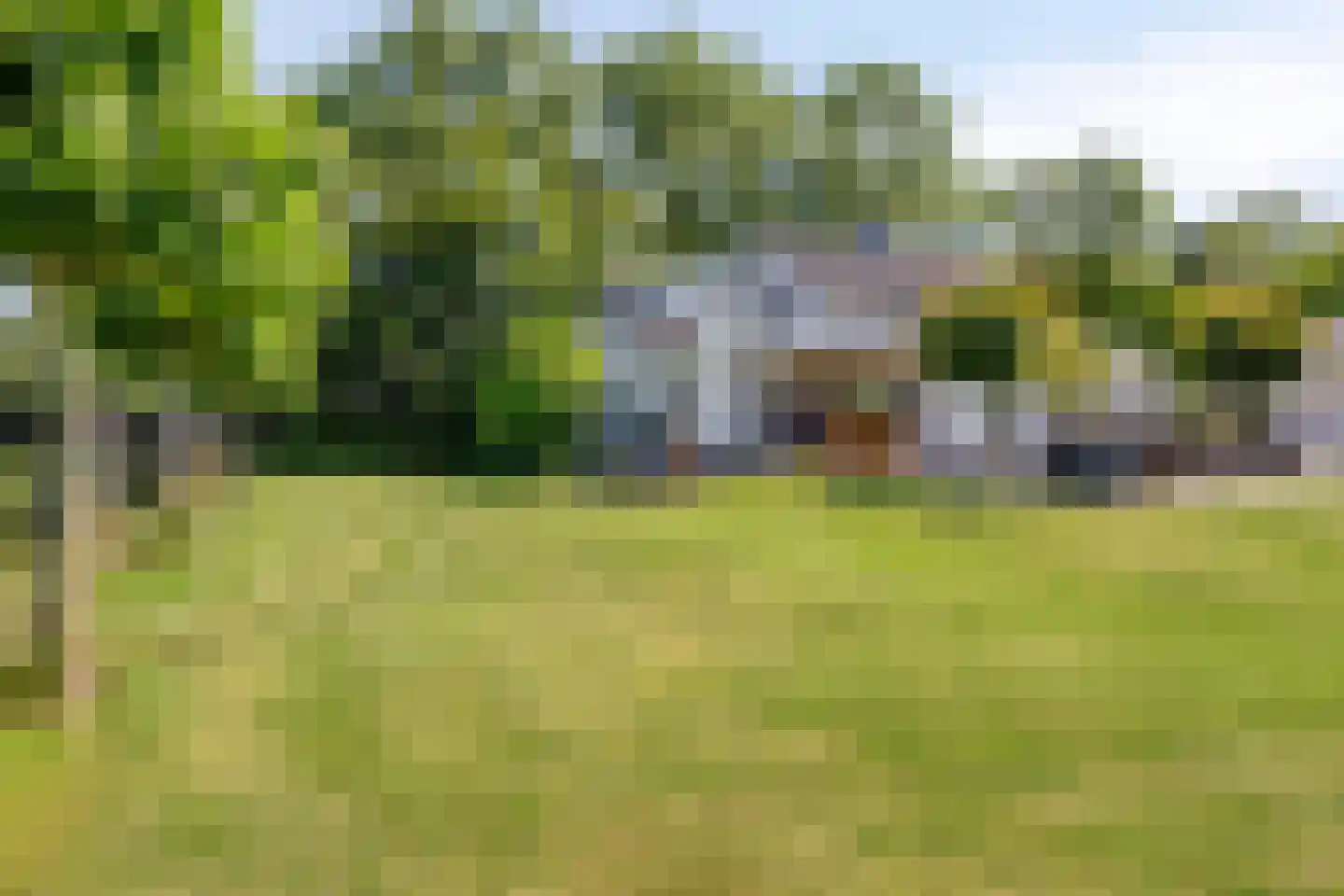 Hondsdijk 5 Escharen thumbnail 80