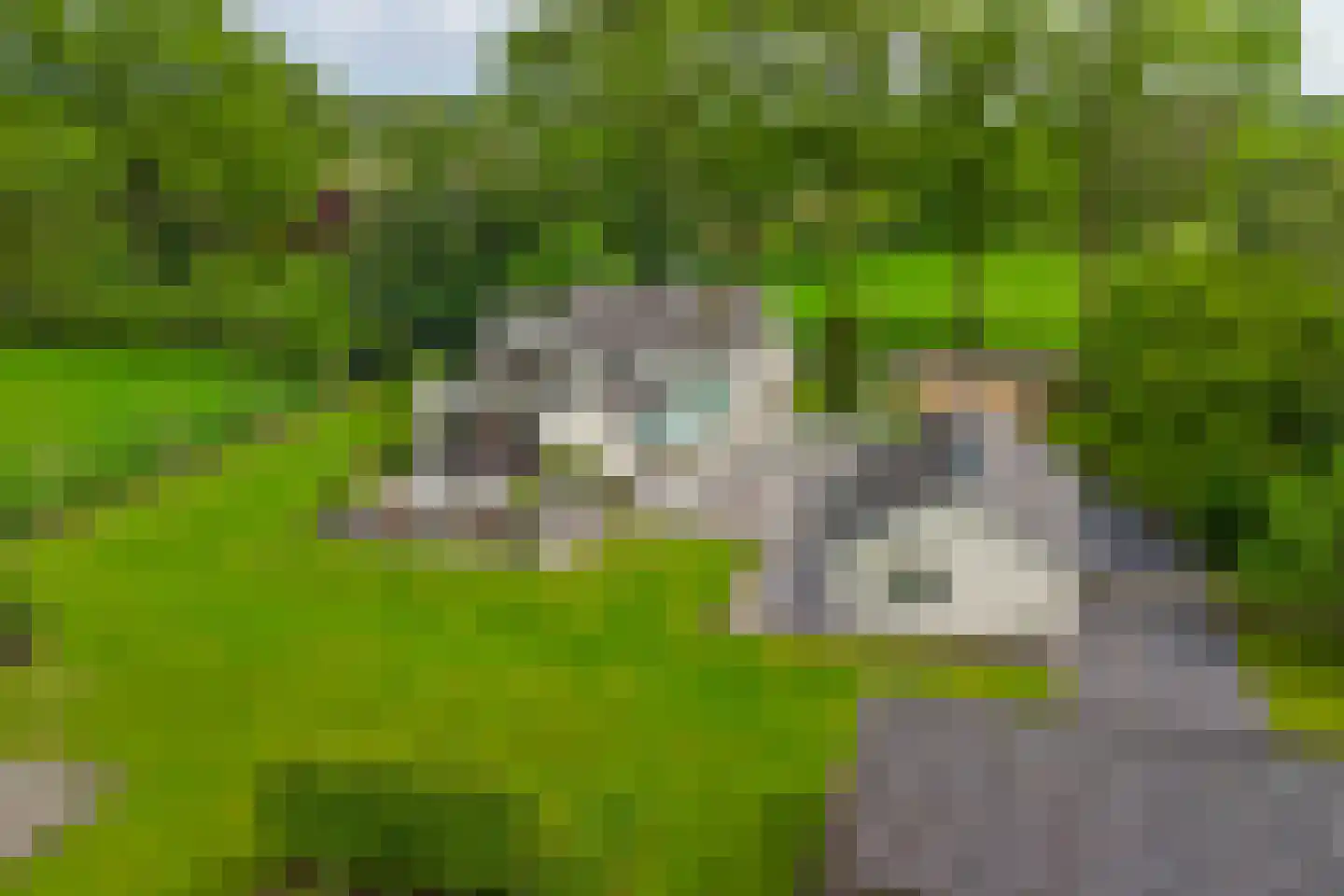 Hondsdijk 5 Escharen thumbnail 83