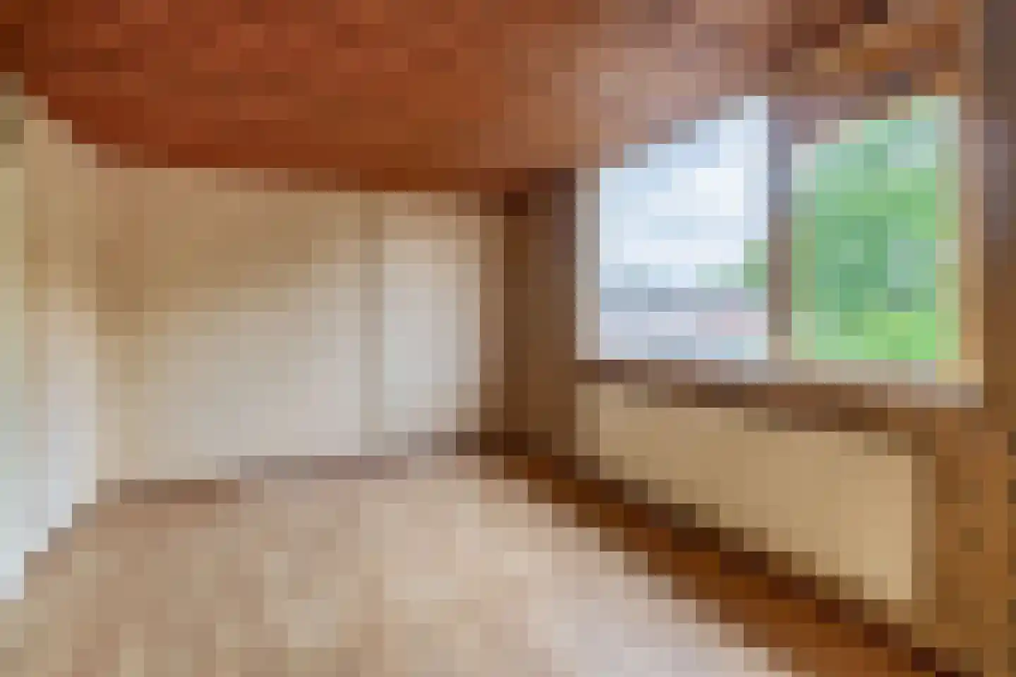 Hondsdijk 64 Tegelen thumbnail 19