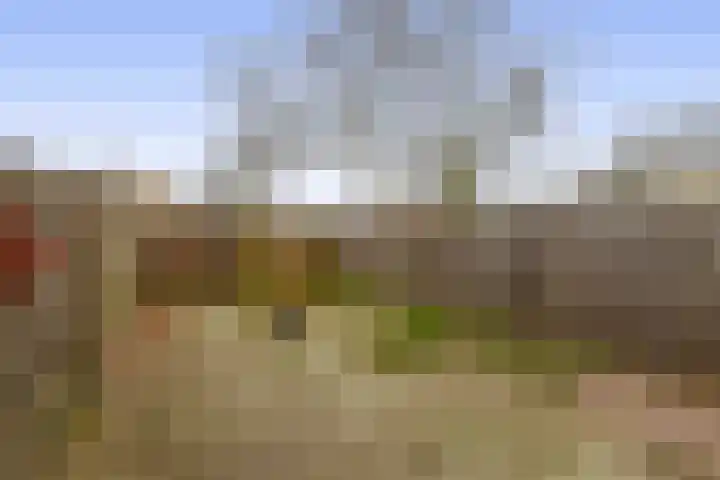 Hondsdijk 80 Tegelen thumbnail 11
