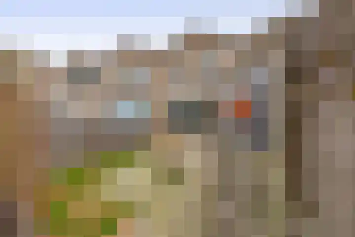 Hondsdijk 80 Tegelen thumbnail 20