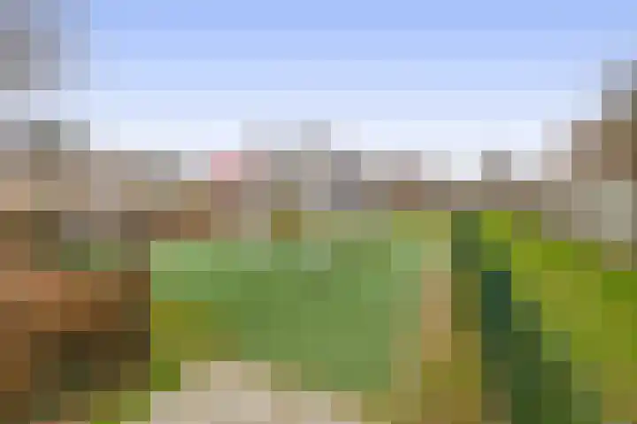 Hondsdijk 80 Tegelen thumbnail 21