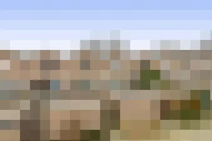 Hondsdijk 80 Tegelen thumbnail 22