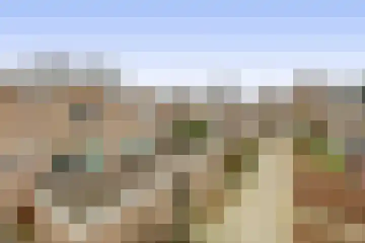 Hondsdijk 80 Tegelen thumbnail 24