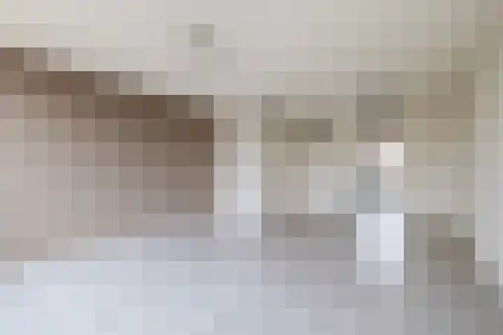 Hondsdijk 80 Tegelen thumbnail 8