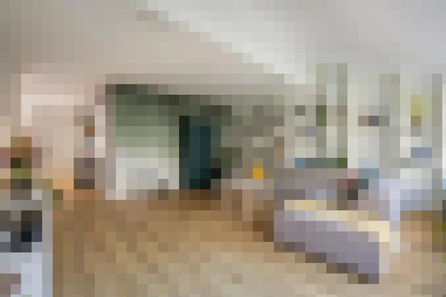 Hondsdonk 15 Breda thumbnail 21