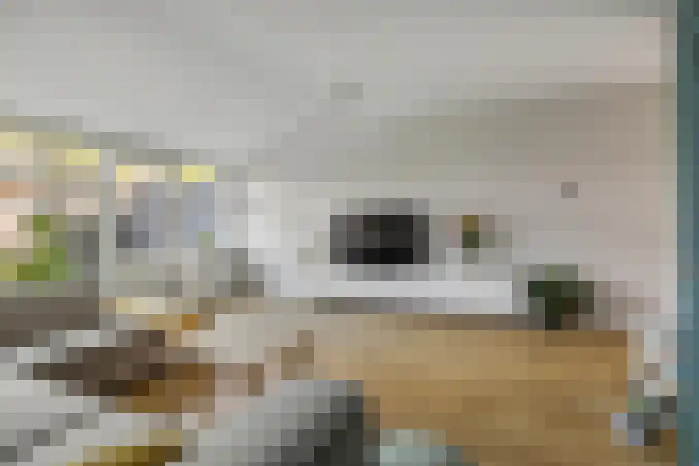 Hondsdonk 15 Breda thumbnail 22