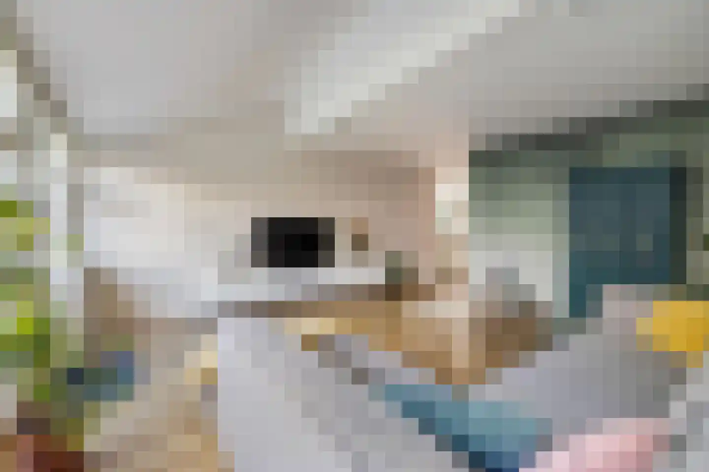 Hondsdonk 15 Breda thumbnail 23
