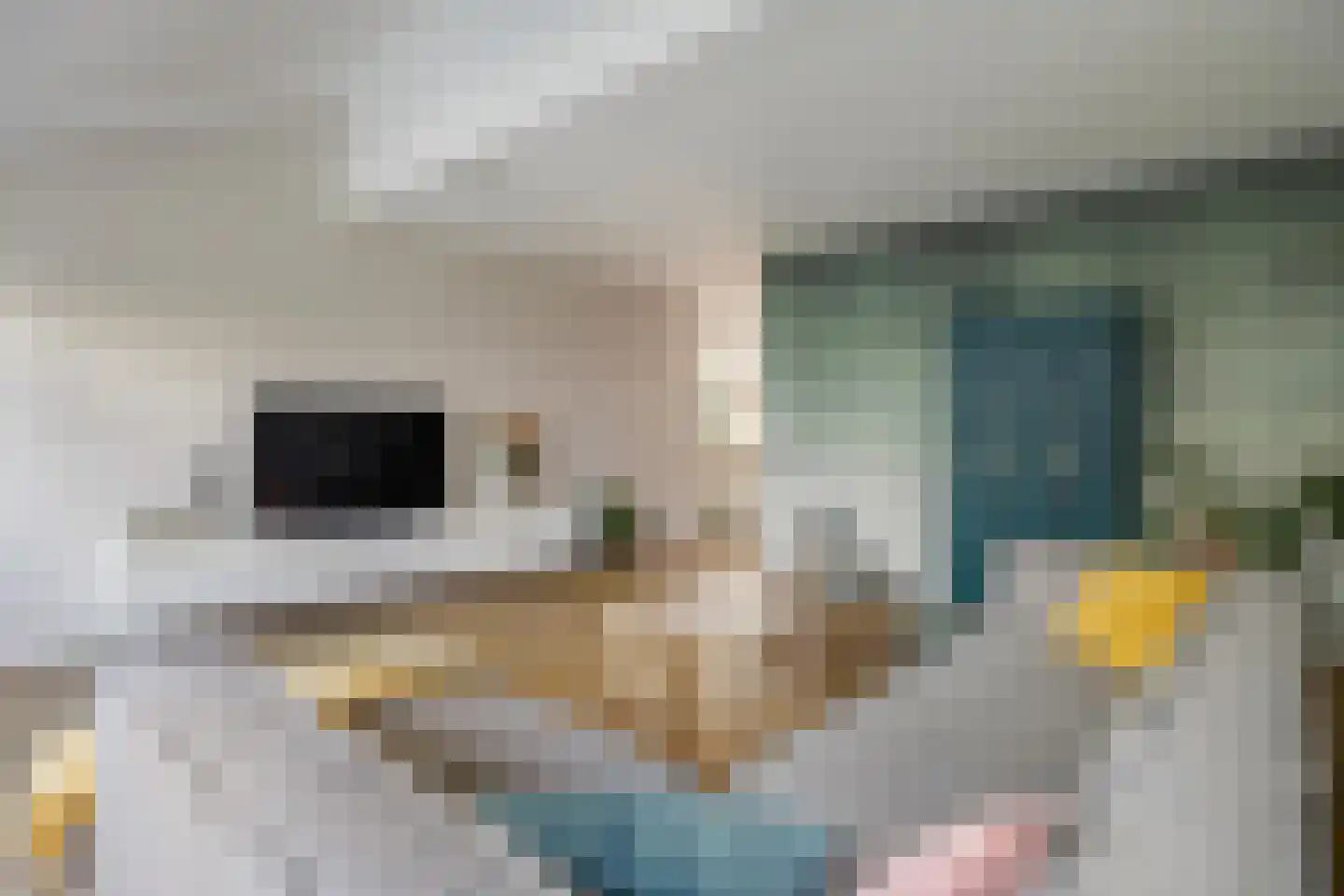 Hondsdonk 15 Breda thumbnail 24