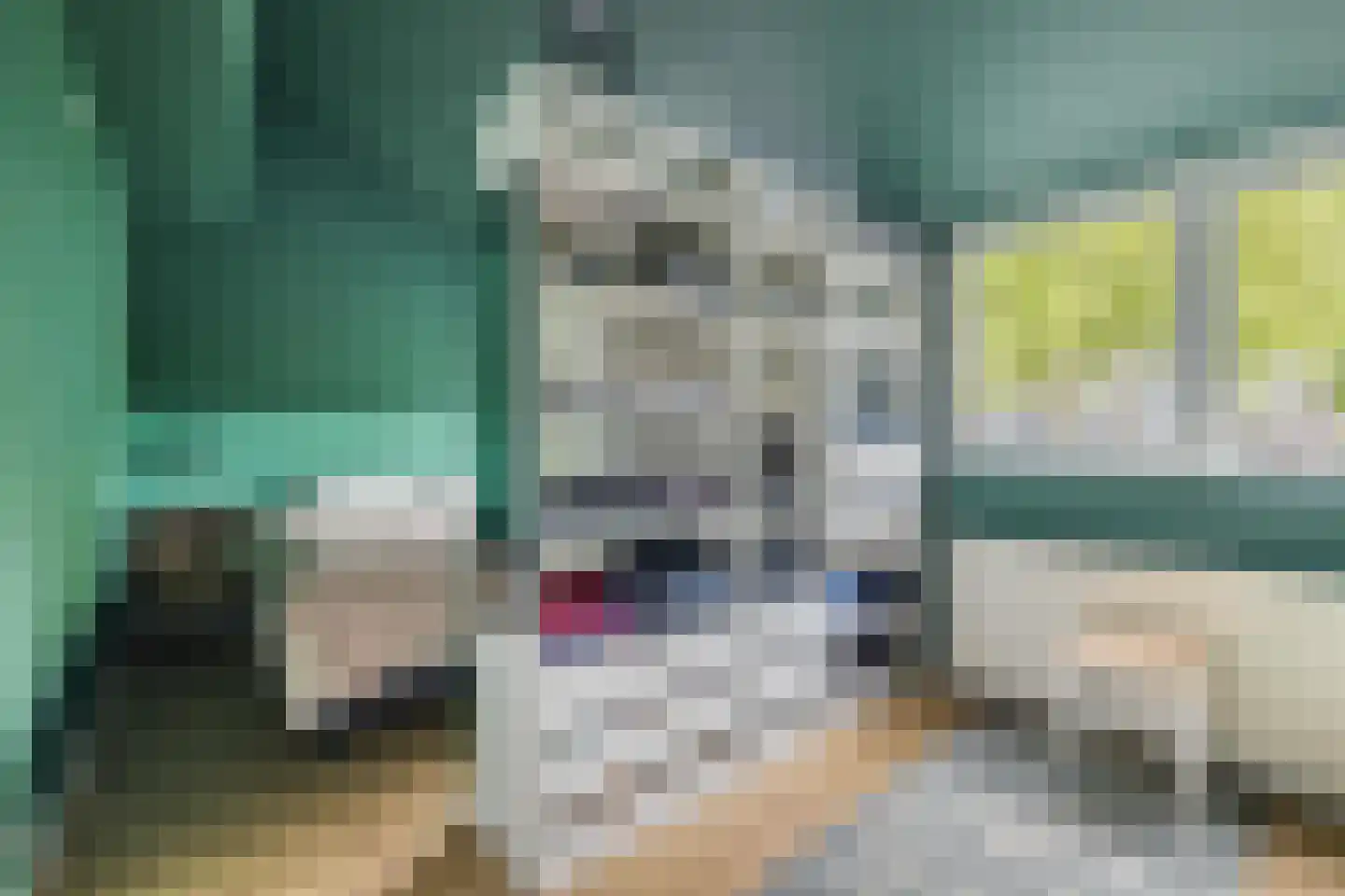Hondsdonk 15 Breda thumbnail 4
