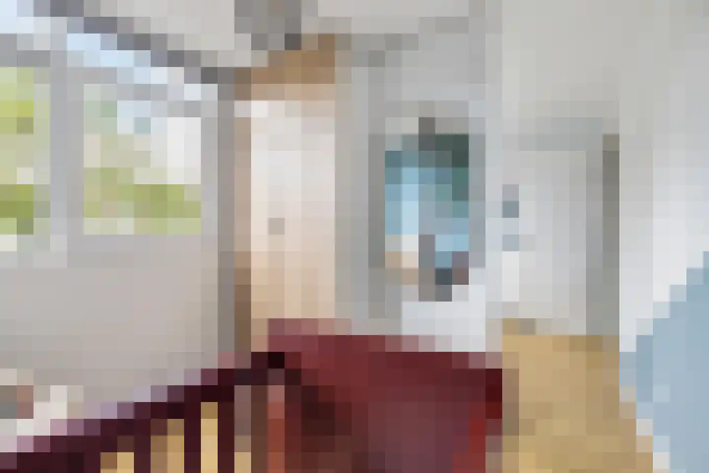 Hondsdonk 15 Breda thumbnail 40