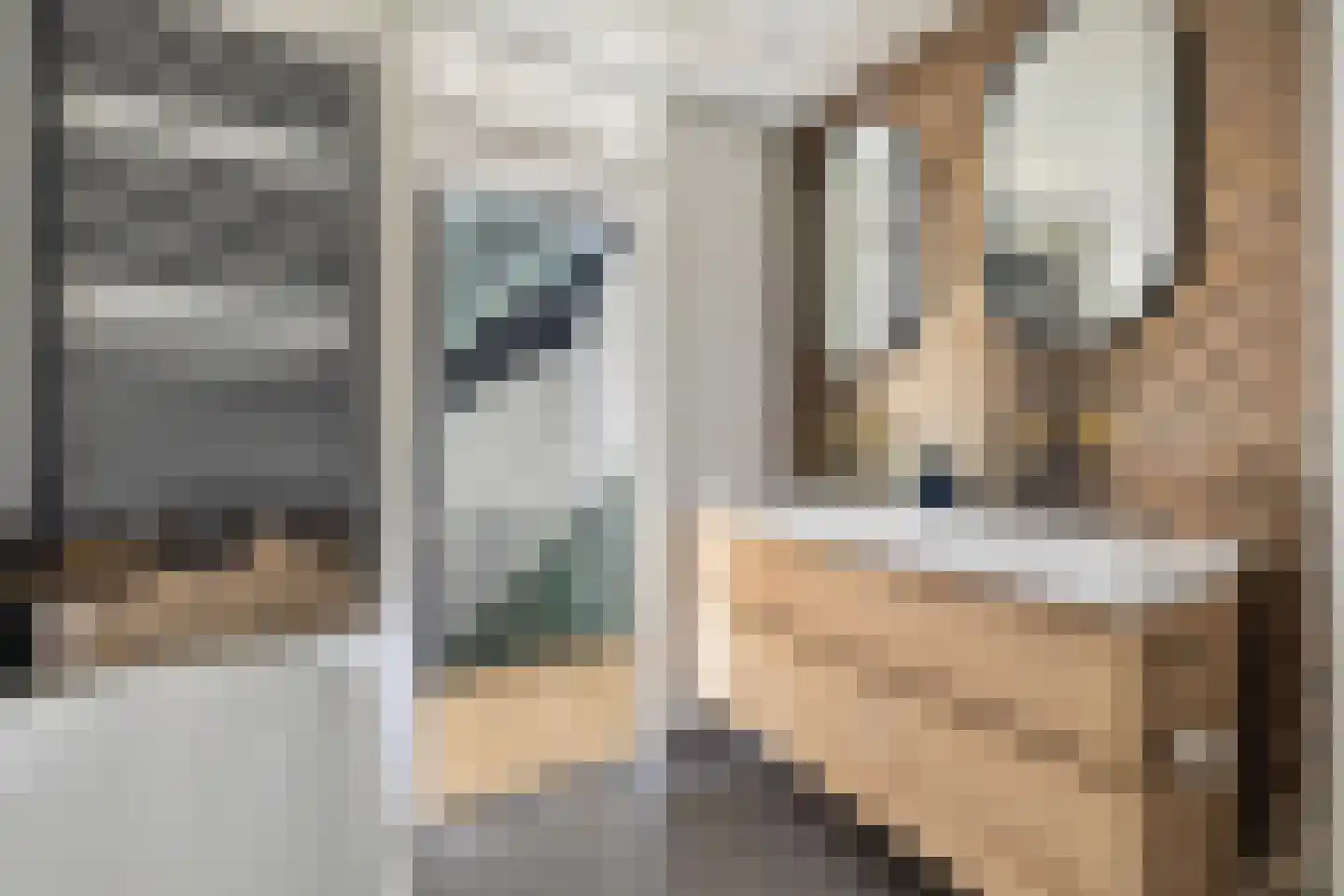 Hondsdonk 15 Breda thumbnail 52
