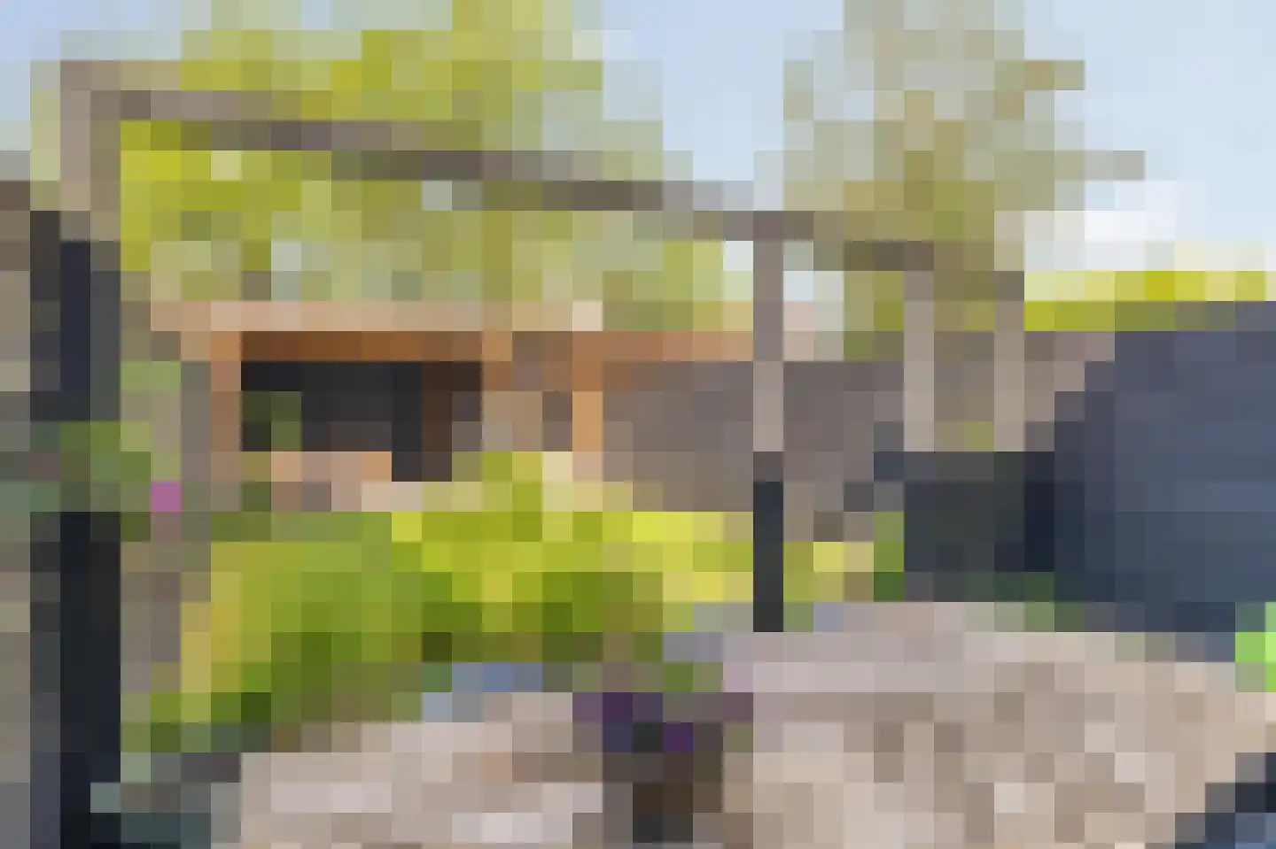 Hondsdonk 15 Breda thumbnail 65