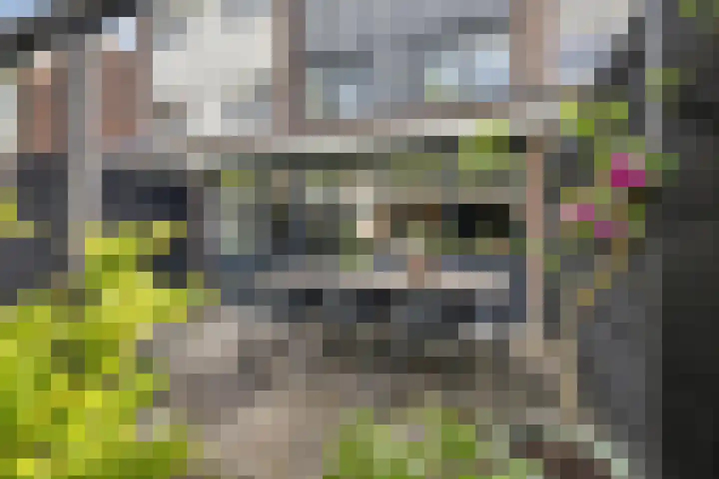 Hondsdonk 15 Breda thumbnail 68