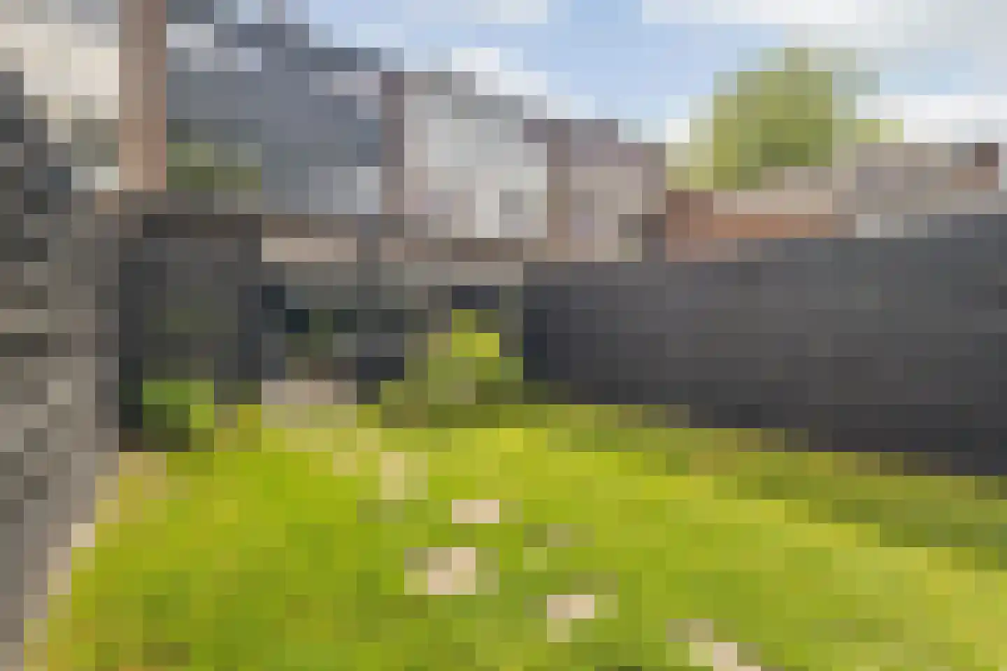 Hondsdonk 15 Breda thumbnail 71
