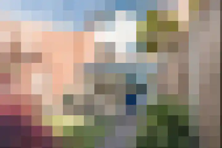 Hondsdonk 59 Breda thumbnail 32