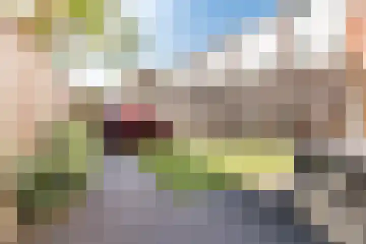 Hondsdonk 59 Breda thumbnail 35