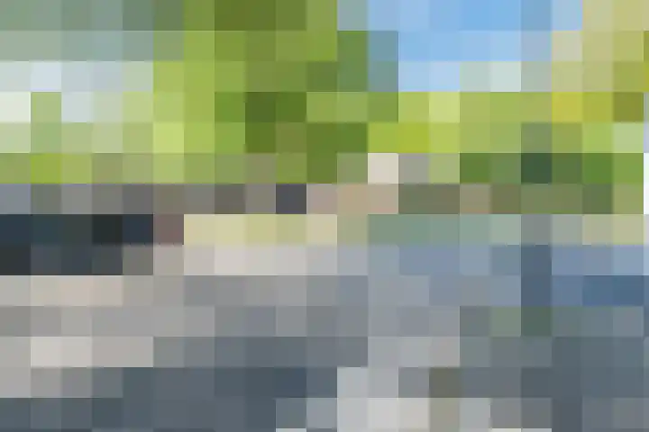 Hondsdonk 59 Breda thumbnail 36