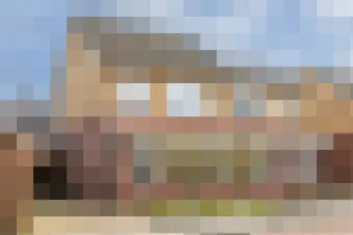 Hondsdraf 1 dans Vroomshoop