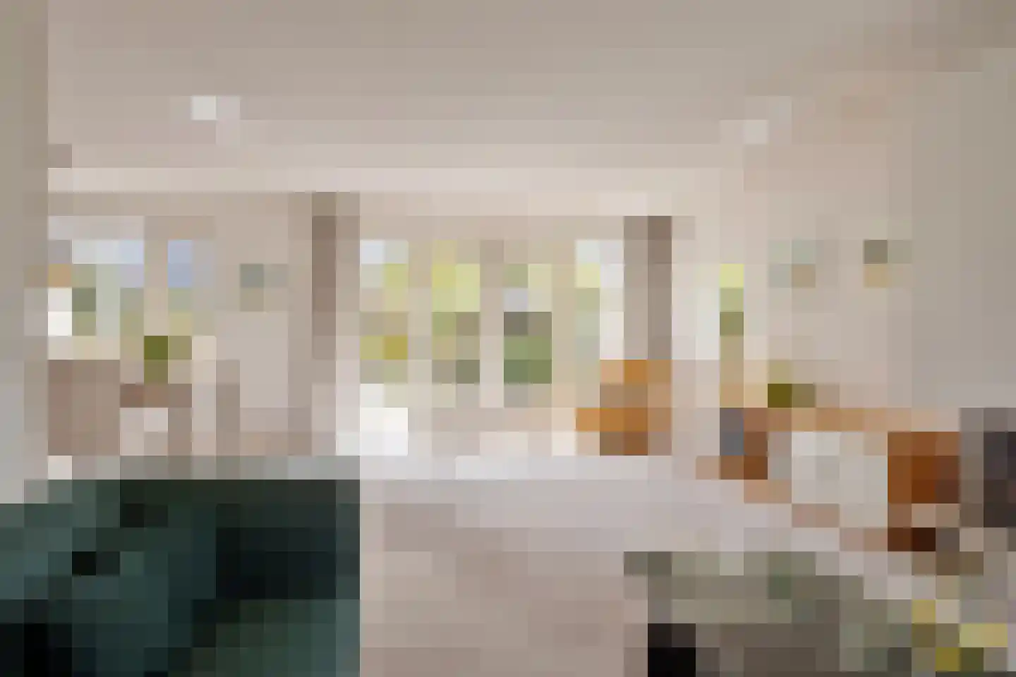 Hondsdraf 1 Grootegast thumbnail 13