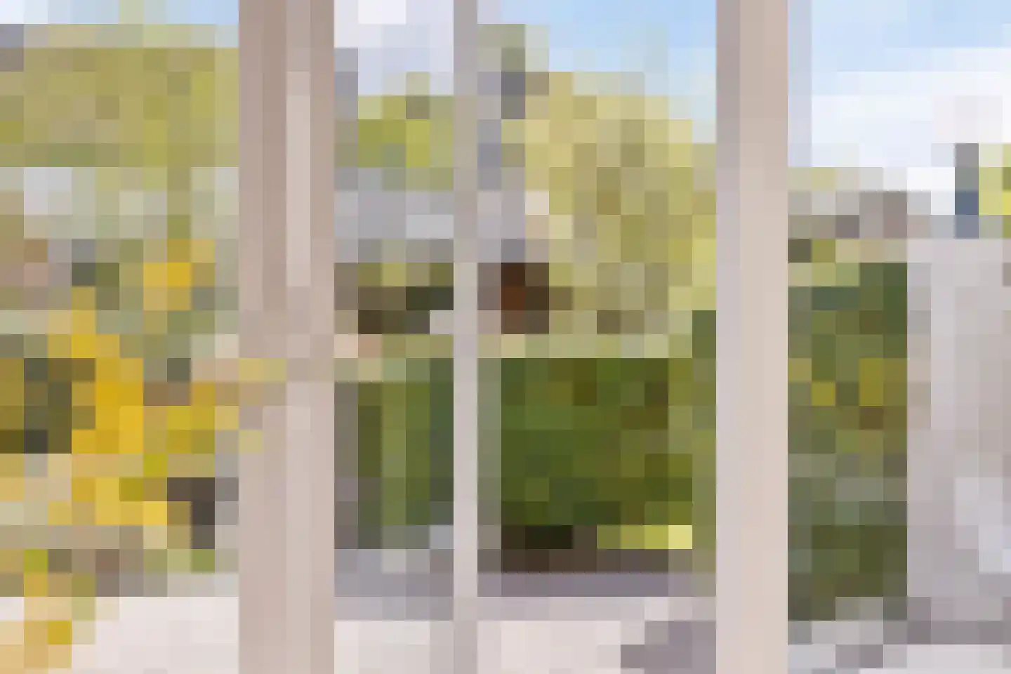Hondsdraf 1 Grootegast thumbnail 15