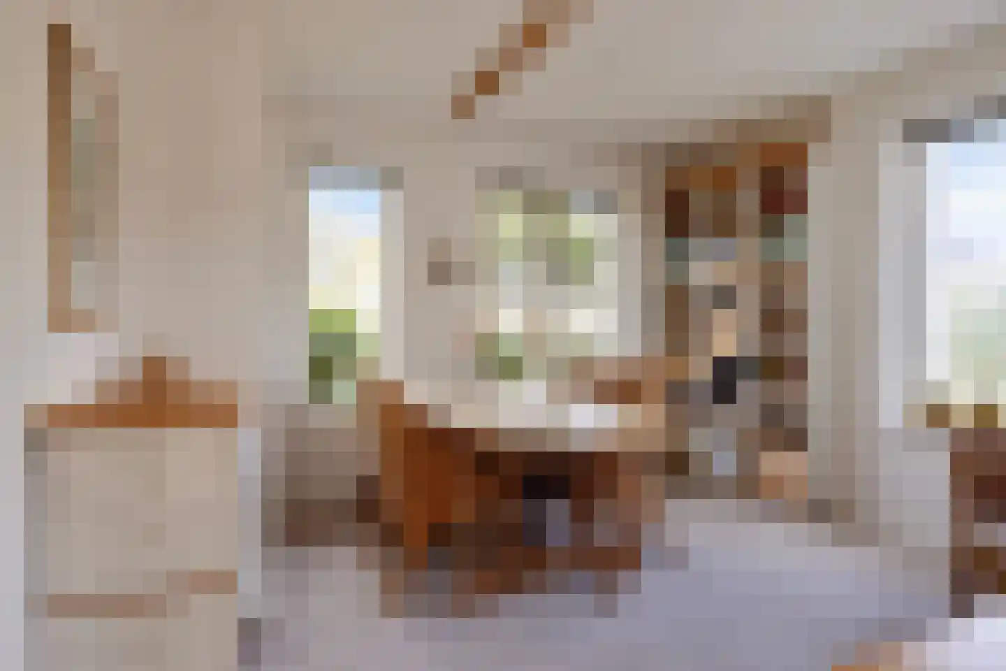 Hondsdraf 1 Grootegast thumbnail 19