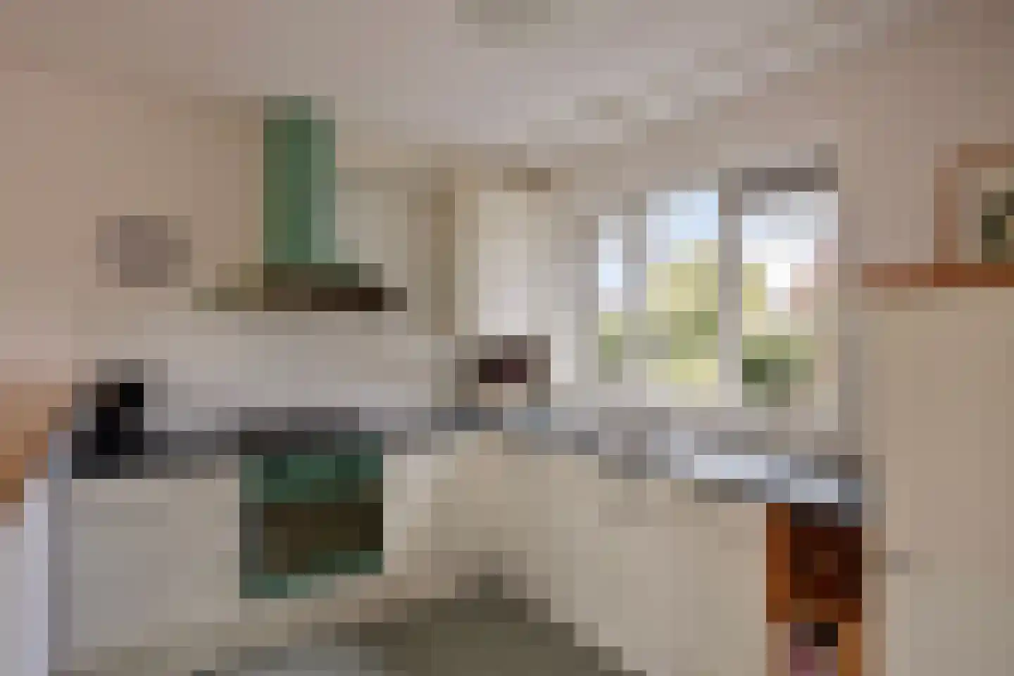 Hondsdraf 1 Grootegast thumbnail 21