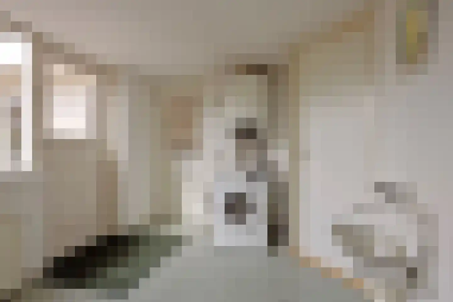 Hondsdraf 1 Grootegast thumbnail 26