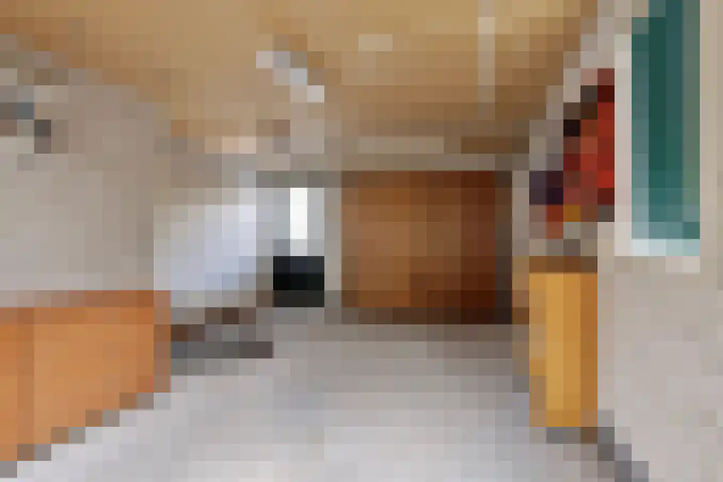 Hondsdraf 1 Grootegast thumbnail 27
