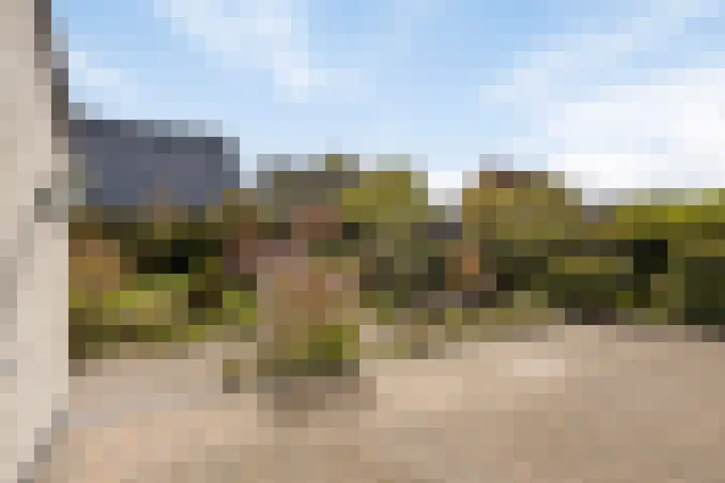Hondsdraf 1 Grootegast thumbnail 29