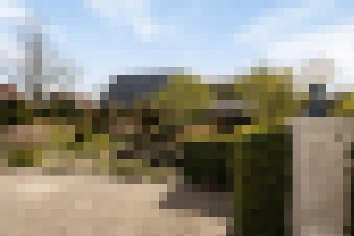 Hondsdraf 1 Grootegast thumbnail 30