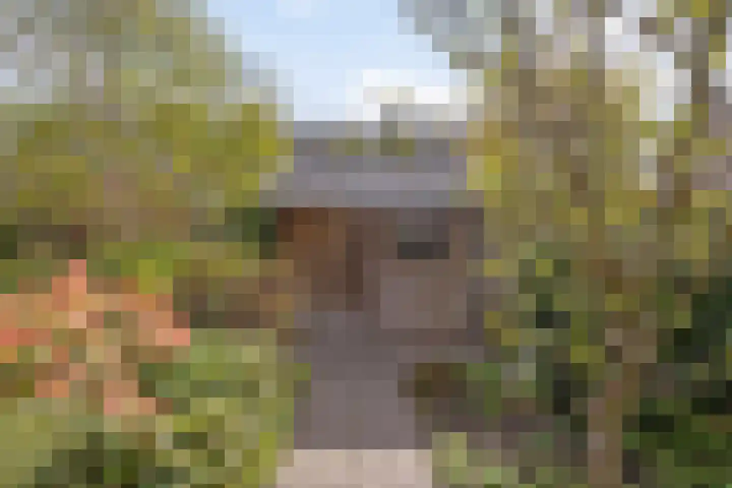 Hondsdraf 1 Grootegast thumbnail 31