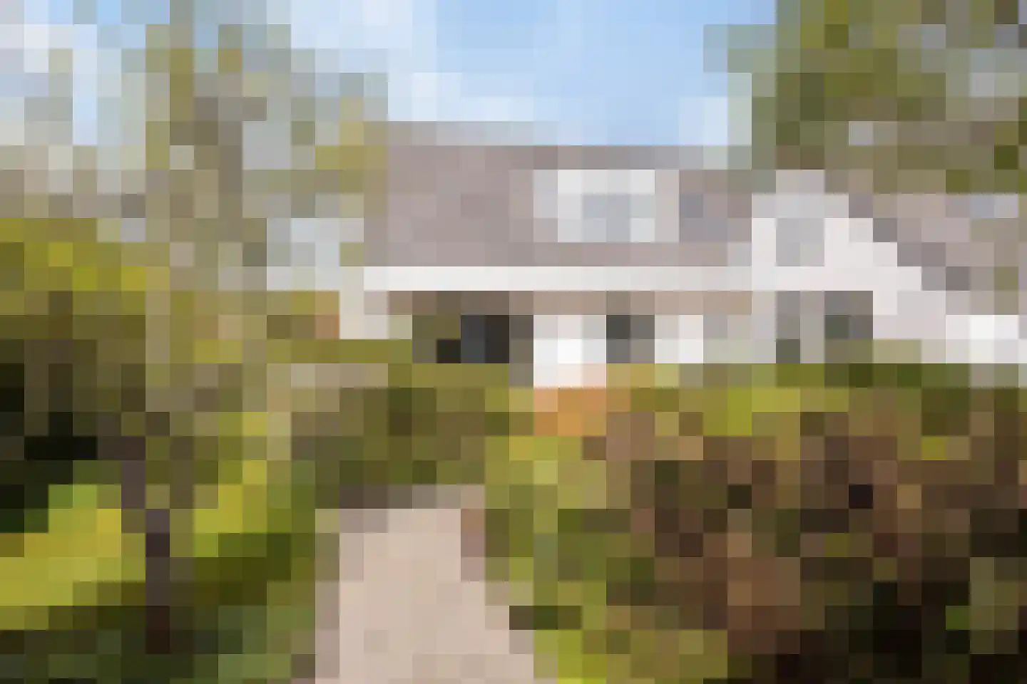 Hondsdraf 1 Grootegast thumbnail 33