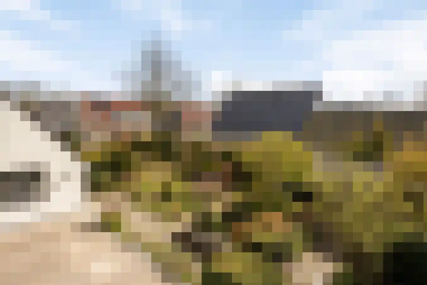 Hondsdraf 1 Grootegast thumbnail 35