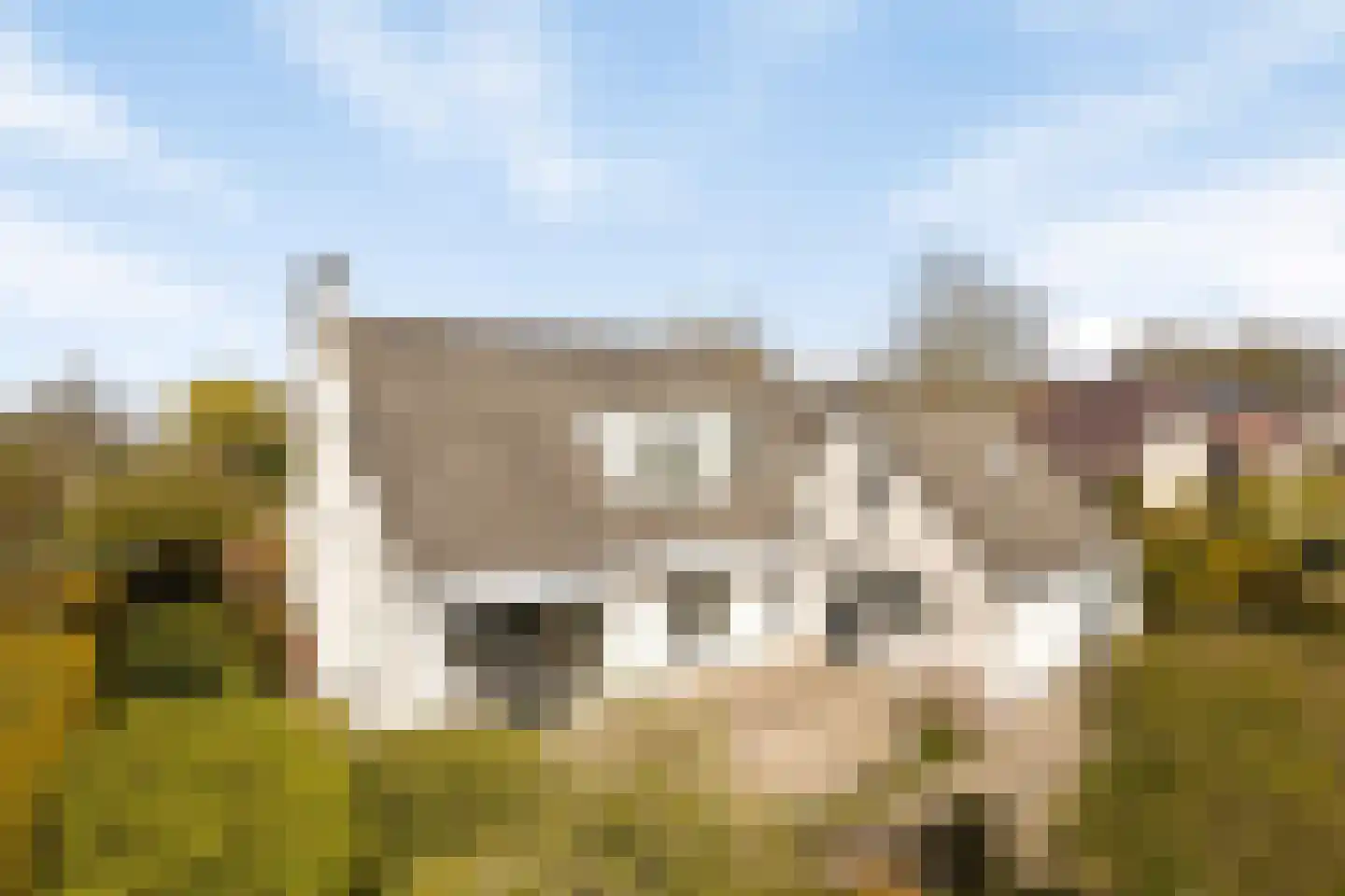 Hondsdraf 1 Grootegast thumbnail 36