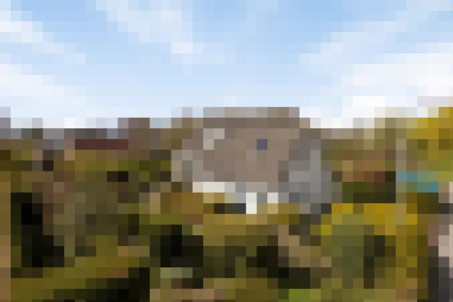 Hondsdraf 1 Grootegast thumbnail 37