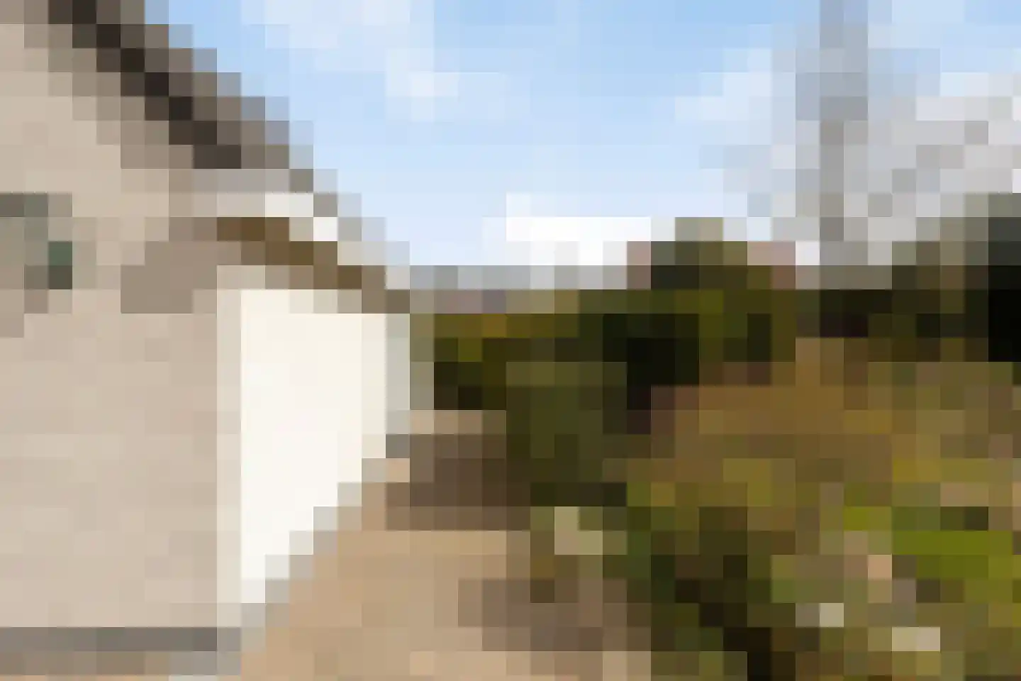 Hondsdraf 1 Grootegast thumbnail 38
