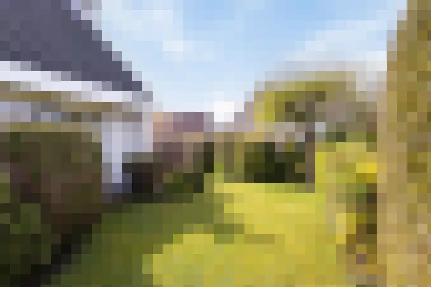 Hondsdraf 1 Grootegast thumbnail 39