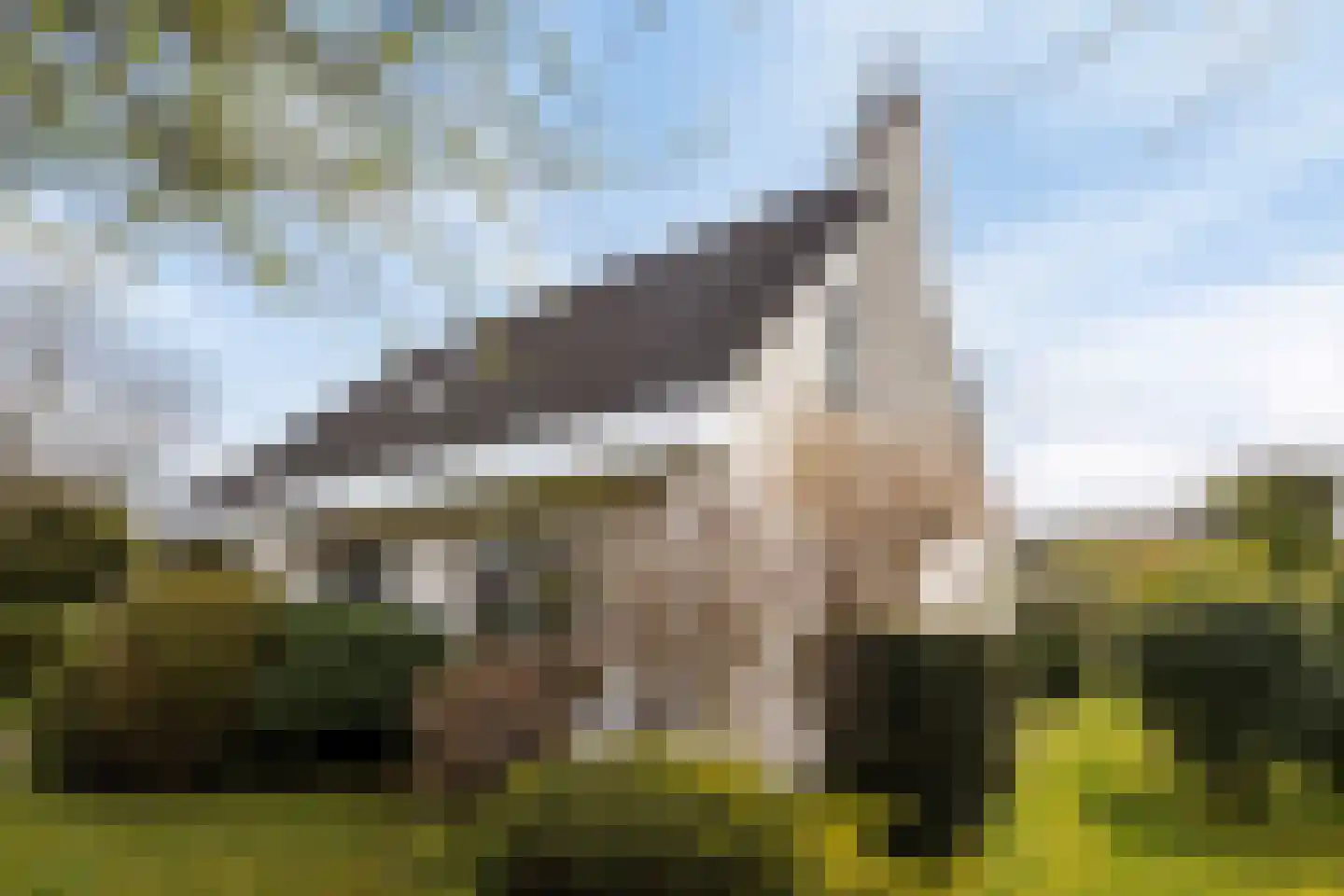 Hondsdraf 1 Grootegast thumbnail 40