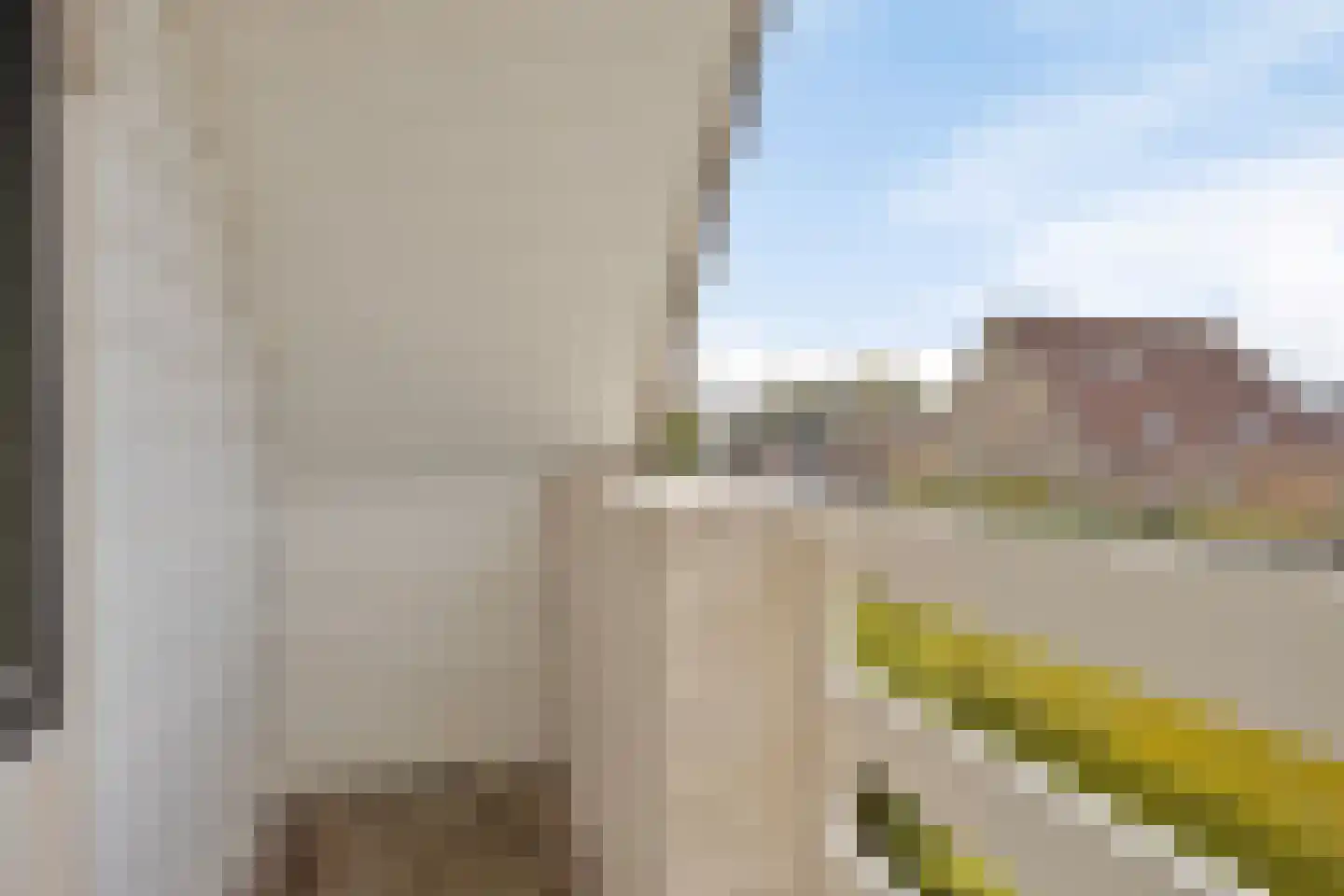 Hondsdraf 1 Grootegast thumbnail 45