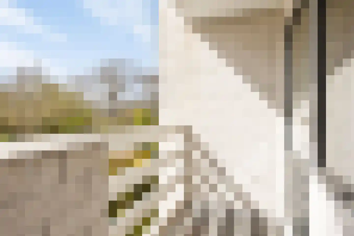 Hondsdraf 1 Grootegast thumbnail 46