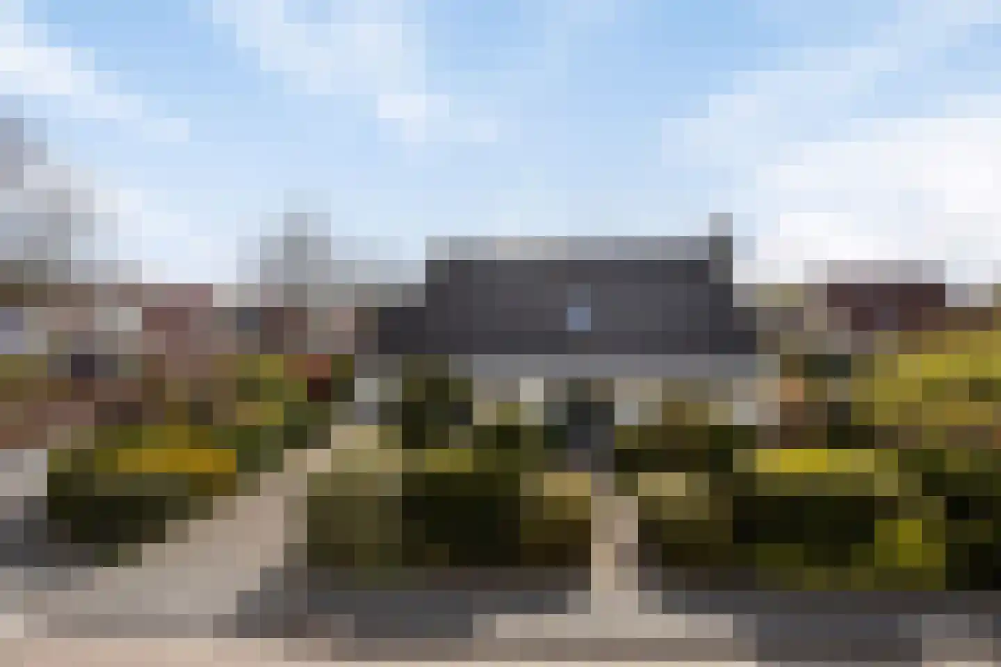Hondsdraf 1 Grootegast thumbnail 5