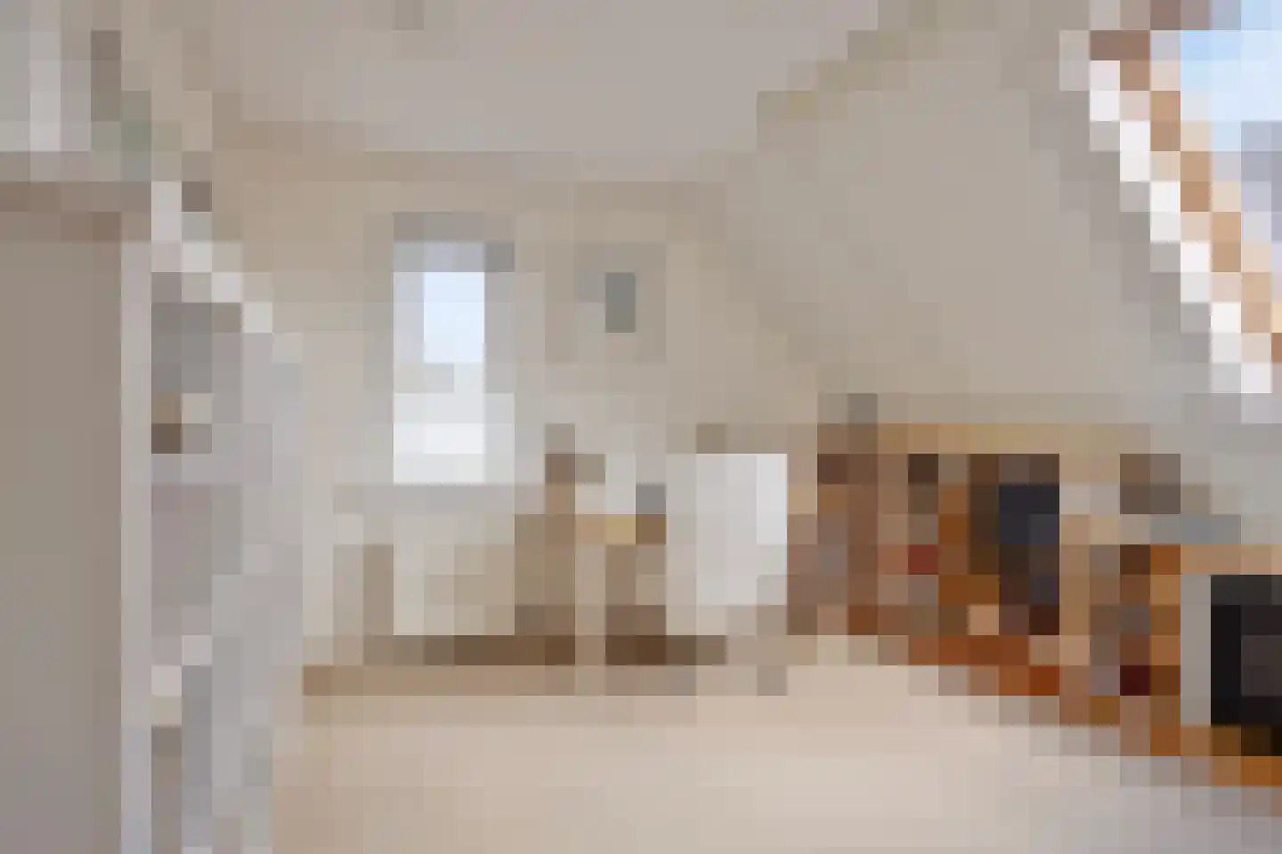 Hondsdraf 1 Grootegast thumbnail 52