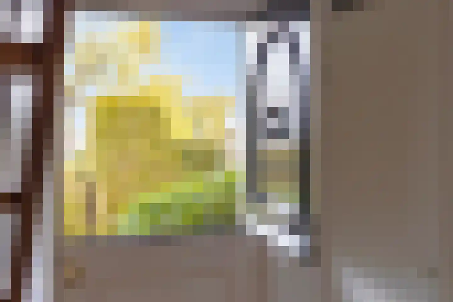 Hondsdraf 1 Grootegast thumbnail 7
