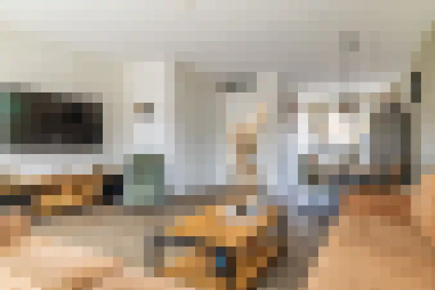 Hondsdraf 1 Vroomshoop thumbnail 10