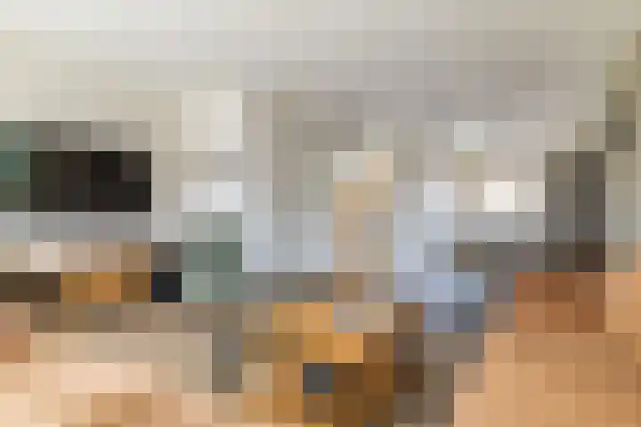 Hondsdraf 1 Vroomshoop thumbnail 10